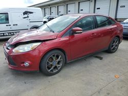 Ford salvage cars for sale: 2013 Ford Focus SE