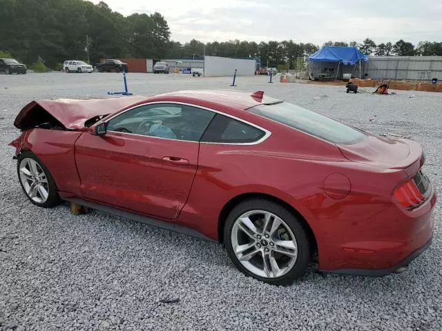 2021 Ford Mustang