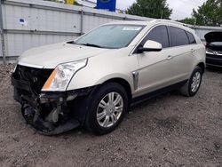 Cadillac srx Luxury Collection salvage cars for sale: 2013 Cadillac SRX Luxury Collection