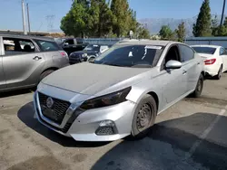 Salvage cars for sale at Rancho Cucamonga, CA auction: 2019 Nissan Altima S