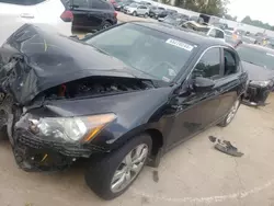 Honda salvage cars for sale: 2010 Honda Accord EX