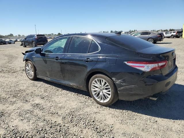 2019 Toyota Camry Hybrid