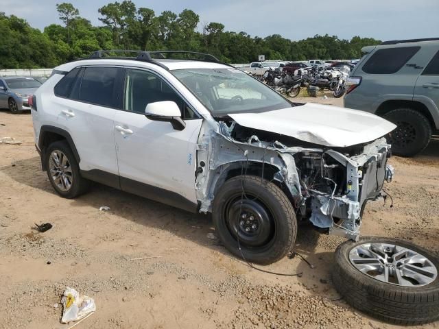 2019 Toyota Rav4 XLE Premium