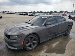 Dodge Vehiculos salvage en venta: 2016 Dodge Charger R/T