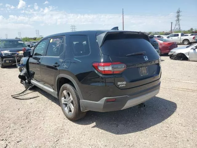 2024 Honda Pilot EXL