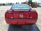 2006 Ford Mustang