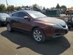 2010 Acura ZDX Advance