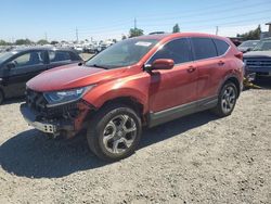 Salvage cars for sale at Eugene, OR auction: 2019 Honda CR-V EX