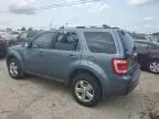 2010 Ford Escape Limited