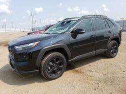 Salvage cars for sale at Greenwood, NE auction: 2024 Toyota Rav4 TRD OFF Road