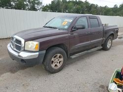 Salvage cars for sale from Copart Greenwell Springs, LA: 2005 Dodge Dakota Quad SLT