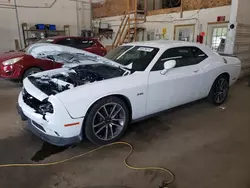 Salvage cars for sale from Copart Ham Lake, MN: 2023 Dodge Challenger R/T