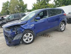 Salvage cars for sale at Bridgeton, MO auction: 2015 Ford Escape SE