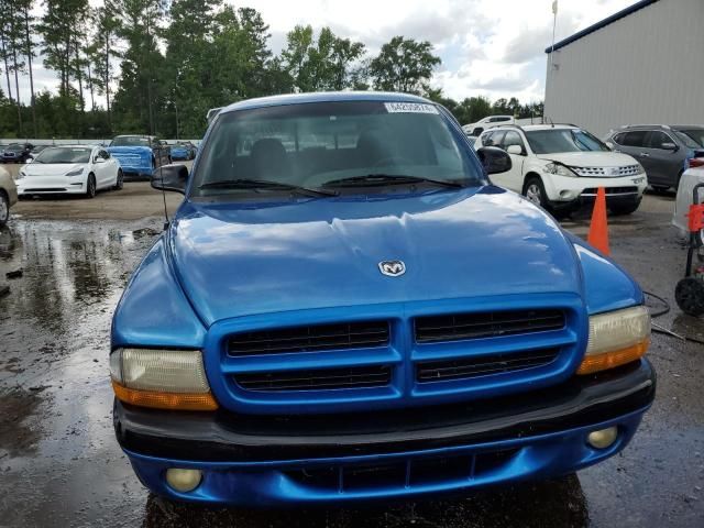 2000 Dodge Dakota