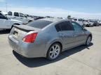 2007 Nissan Maxima SE