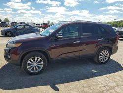 Flood-damaged cars for sale at auction: 2011 KIA Sorento EX