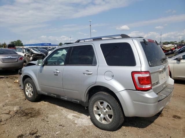 2010 Ford Escape Limited