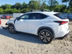 2018 Lexus NX 300 Base