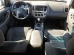 2007 Ford Escape XLT