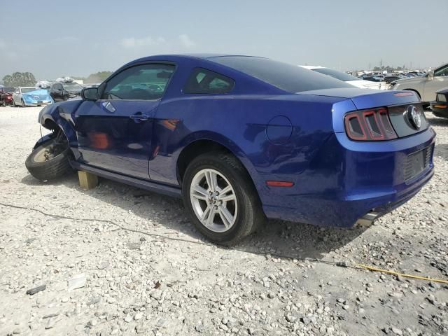 2013 Ford Mustang