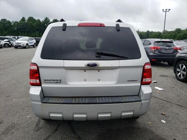 2008 Ford Escape XLT