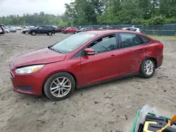 2015 Ford Focus SE en venta en Candia, NH