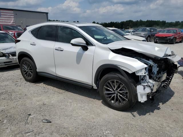 2024 Lexus NX 350H Base