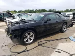 Salvage cars for sale at Louisville, KY auction: 2021 Dodge Challenger SXT