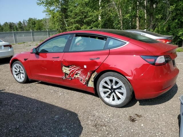 2021 Tesla Model 3