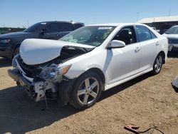 2013 Toyota Camry L en venta en Brighton, CO