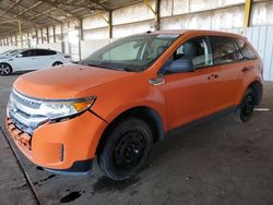 Salvage cars for sale at Phoenix, AZ auction: 2011 Ford Edge SE