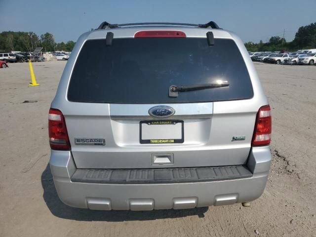 2010 Ford Escape Limited