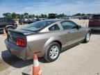 2005 Ford Mustang