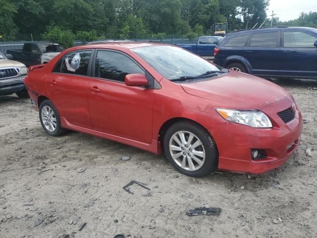 2010 Toyota Corolla Base