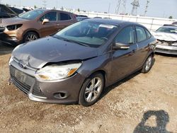 Ford salvage cars for sale: 2013 Ford Focus SE