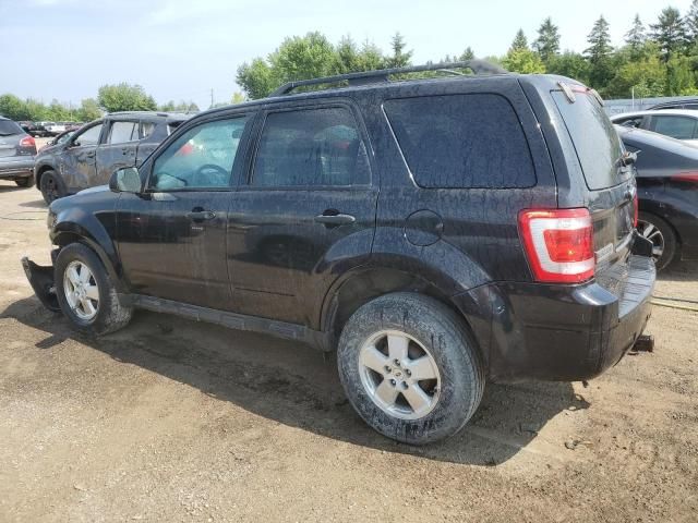 2011 Ford Escape XLT