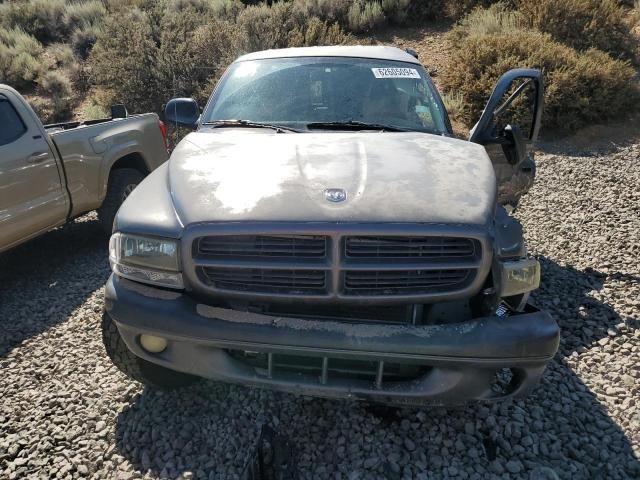 2002 Dodge Dakota Quad Sport