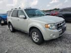 2009 Ford Escape Limited