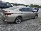 2020 Lexus ES 350 F Sport