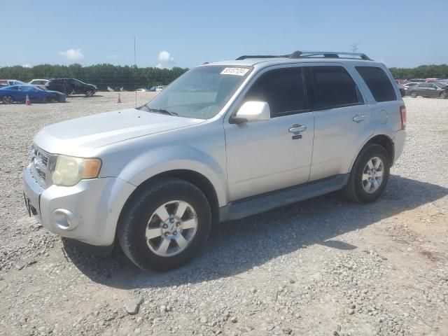 2010 Ford Escape Limited