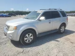 Vehiculos salvage en venta de Copart Memphis, TN: 2010 Ford Escape Limited