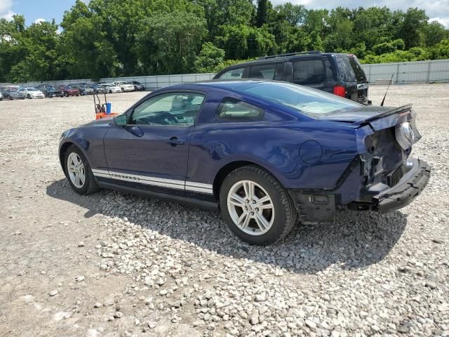 2010 Ford Mustang