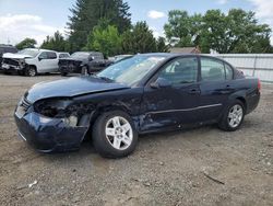 Chevrolet Vehiculos salvage en venta: 2006 Chevrolet Malibu LT