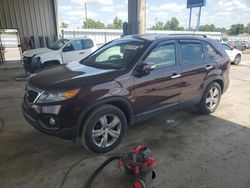 Salvage cars for sale at Fort Wayne, IN auction: 2013 KIA Sorento EX