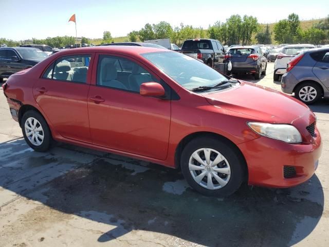 2010 Toyota Corolla Base