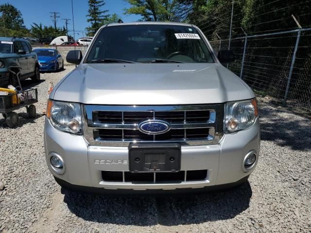 2010 Ford Escape XLT