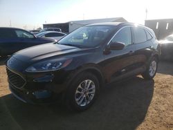 Salvage cars for sale at Brighton, CO auction: 2021 Ford Escape SE