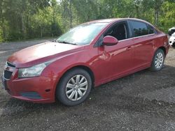 Chevrolet salvage cars for sale: 2011 Chevrolet Cruze LT