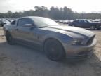 2013 Ford Mustang