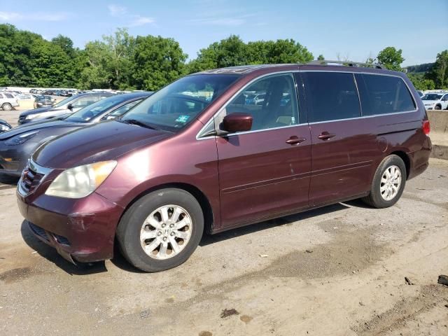 2009 Honda Odyssey EXL